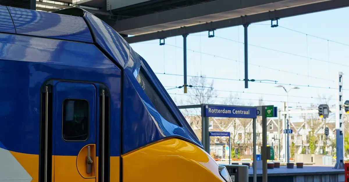 Hoeveel winkels telt Rotterdam? Actueel overzicht
