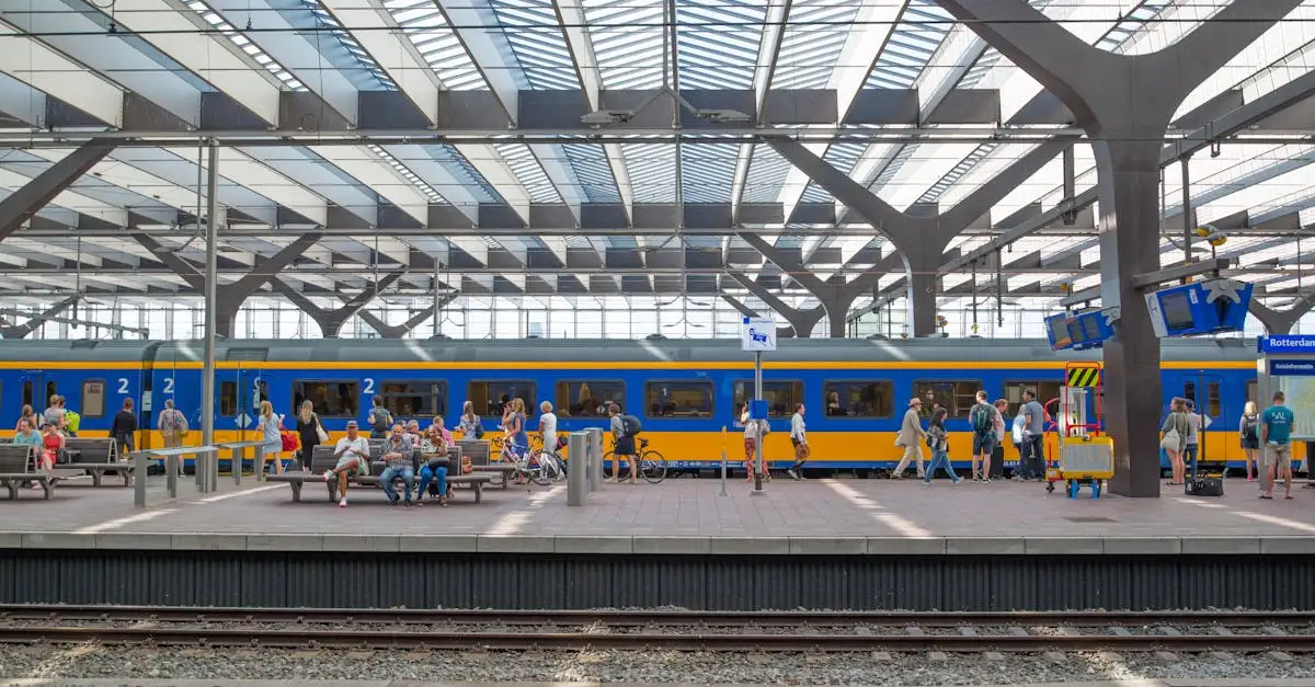 Wat te doen in Rotterdam binnen: Activiteiten en uitjes